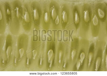Extreme macro close up cucumber sliced lengthwise with seeds