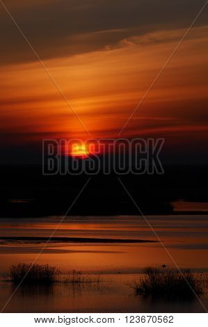 Sun rising over river Biebrza floodplain in Poland.