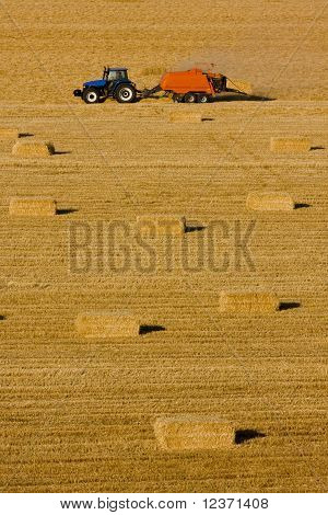 farmář
