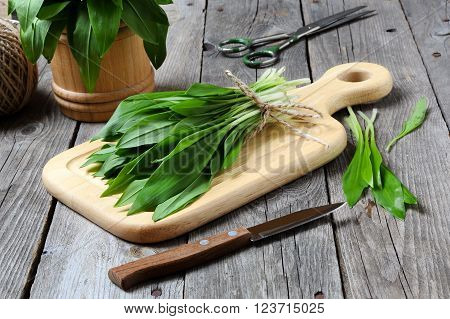 Ramson or wild garlic on a cutting board on a gray table