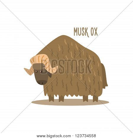 Musk Ox Drawing For Arctic Animals Collection Of Flat Vector Illustration In Creative Style On White Background