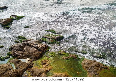 Close-up of sea surf. Shore with sea water and large rocks covered with algae. Rocky coastline with sea water and boulders.