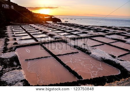 Picture Photo of Salt Flats in the Canry islands