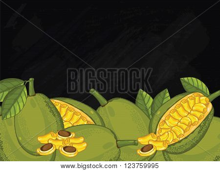 Jackfruit on chalkboard background. Jackfruit composition, plants and leaves. Organic food. Summer fruit. Fruit background for packaging design. Jackfruit with green leaf. Ripe fruit.