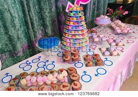 Candy bar on gender reveal party delicious cakes bouquets of tulips in a vase. Dessert table on wedding or party. Closeup assortment of lots of multicolored tasty sweets dessert.