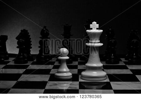 Chess. White King and Pawn on the board. Set of chess figures.