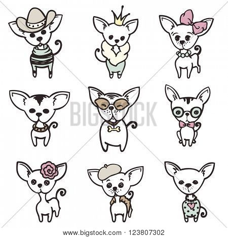 Collection of cute chihuahua with accessories, vector doodle illustration in vintage style..