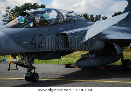  RADOM, Lengyelország - augusztus 31: a Gripen. Nemzetközi légi bemutatók-AIR SHOW 2009 augusztus 31, 2009 én