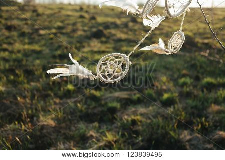 dream catcher hanging from a tree in a field at sunsetd