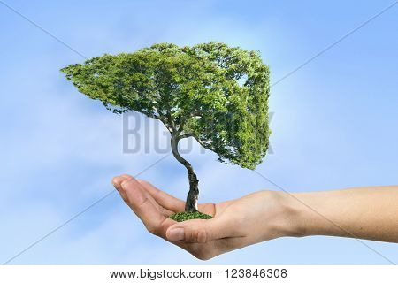 Green eco life 