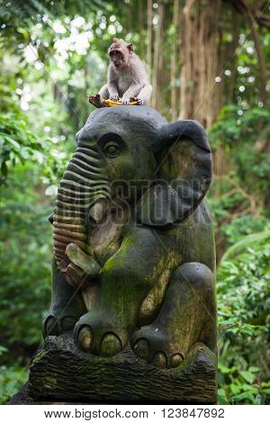Balinese long-tailed monkey sitting on the statue with banana in Monkey Forest Sanctuary Ubud Bali Indonesia