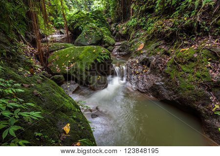 River in the Monkey Forest Sanctuary Ubud Bali Indonesia