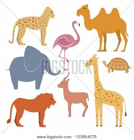 Vector animals set including giraffe turtle elephant lion leopard flamingo gazelle camel. Flat disigne