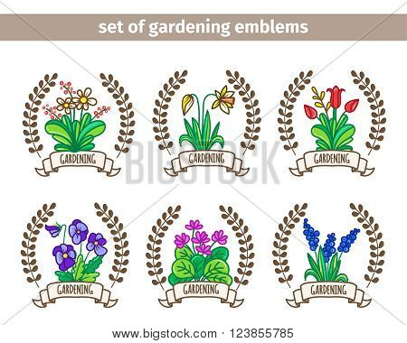 Set compositions of spring garden flowers. Elements for your design. Vector illustration.