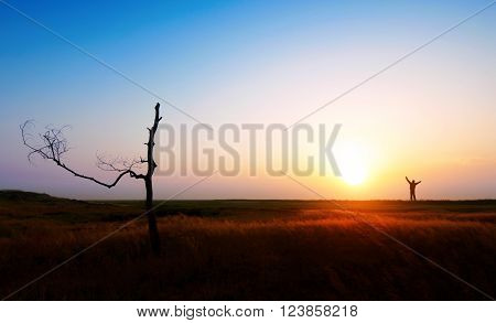 boundless clouds copper ear evening far fog gold grass low quiet rest sand shine smoke steppe sun sunset wilderness