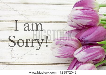 I am Sorry Some tulips with weathered wood and text I am Sorry