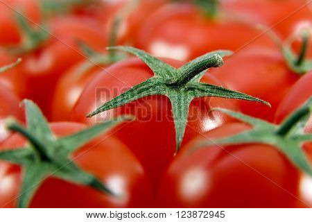 Several fresh ripe cherry tomatoes filling the whole frame