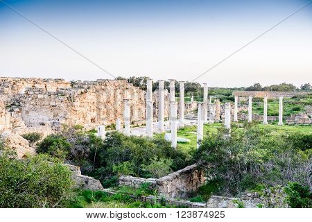 Ancient City Of Salamis Located In Cyprus.