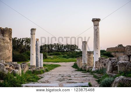 Ancient City Of Salamis Located In Cyprus.