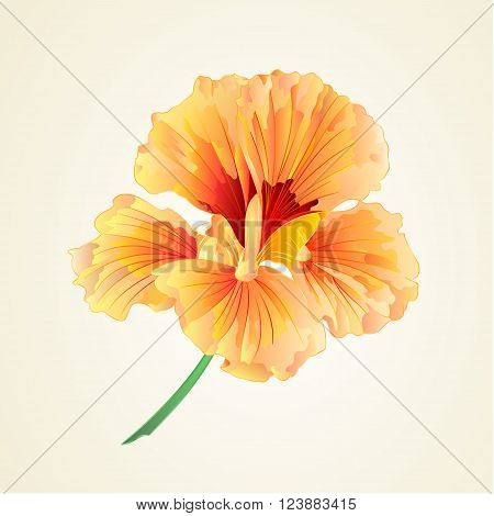 Spring flower watercress vegetable healthy food vector illustration