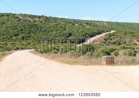 ADDO ELEPHANT NATIONAL PARK SOUTH AFRICA - FEBRUARY 23 2016: A typical landscape in the Addo Elephant National Park