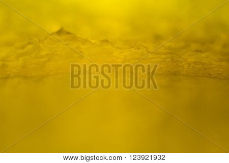Yellow Pepper Under The Microscope