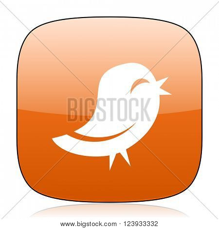 twitter orange square glossy web icon