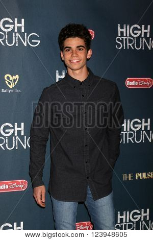 LOS ANGELES - MAR 29:  Cameron Boyce at the High Strung Premiere at the TCL Chinese 6 Theaters on March 29, 2016 in Los Angeles, CA