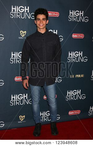 LOS ANGELES - MAR 29:  Cameron Boyce at the High Strung Premiere at the TCL Chinese 6 Theaters on March 29, 2016 in Los Angeles, CA