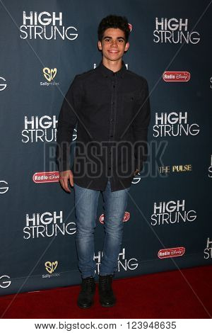 LOS ANGELES - MAR 29:  Cameron Boyce at the High Strung Premiere at the TCL Chinese 6 Theaters on March 29, 2016 in Los Angeles, CA