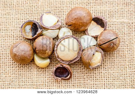 The brown Macadamia nut on sack background.