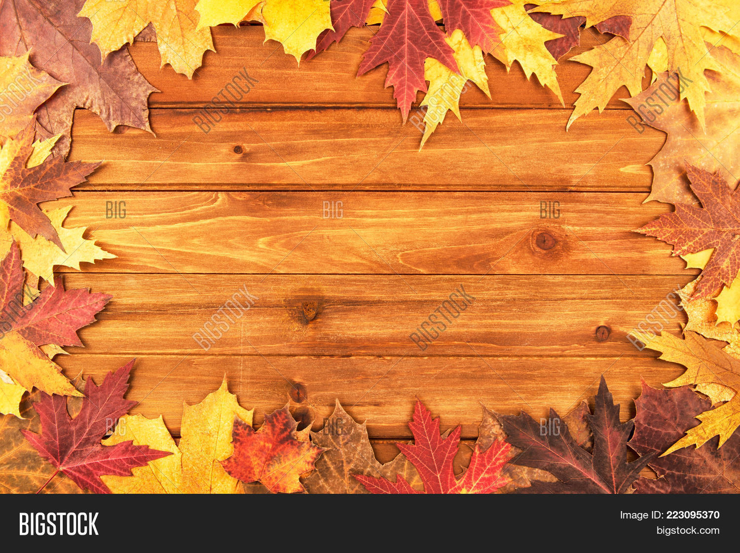 thanksgiving autumn maple leaves powerpoint template thanksgiving thanksgiving powerpoint backgrounds