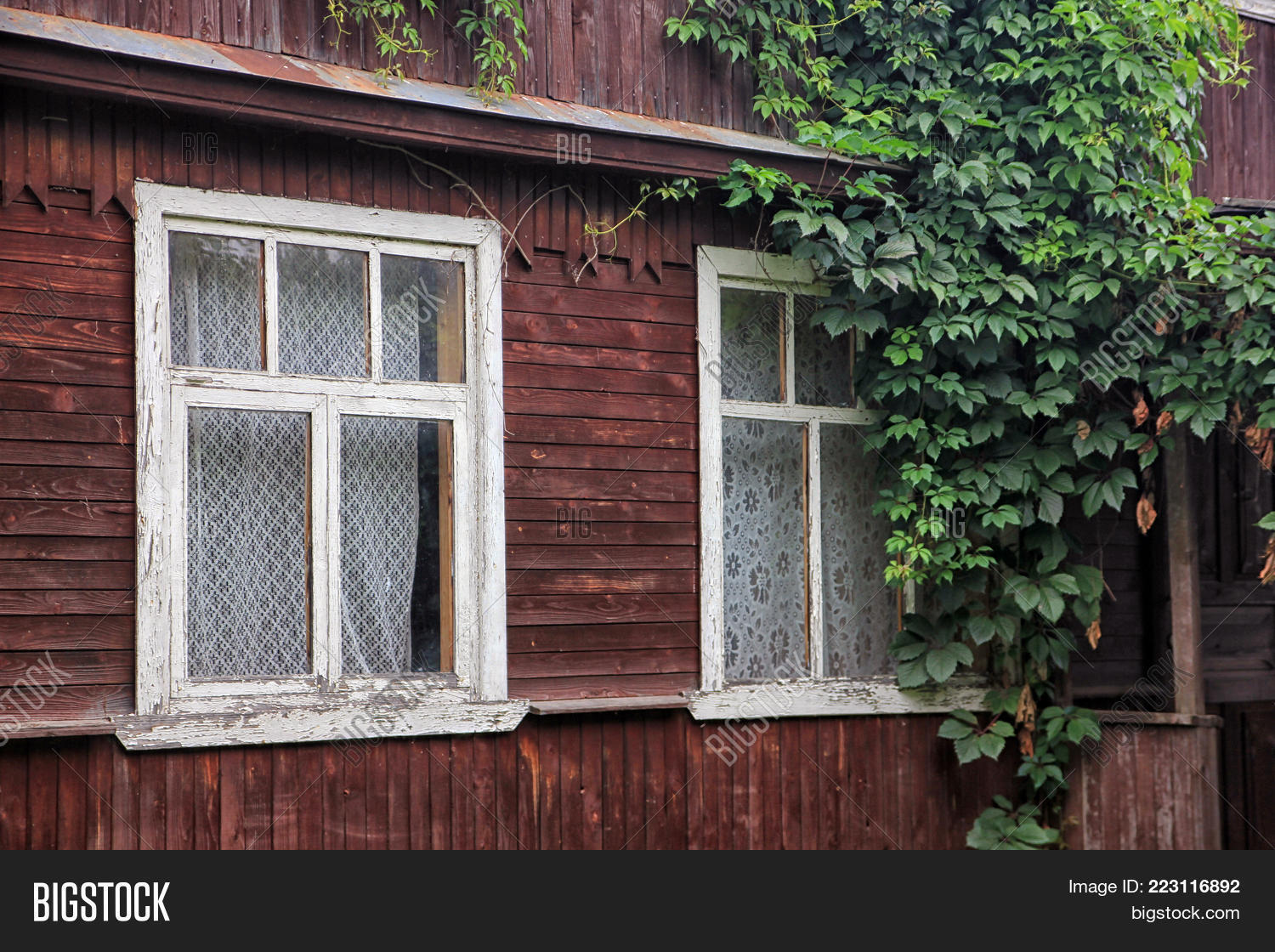 Image Preview