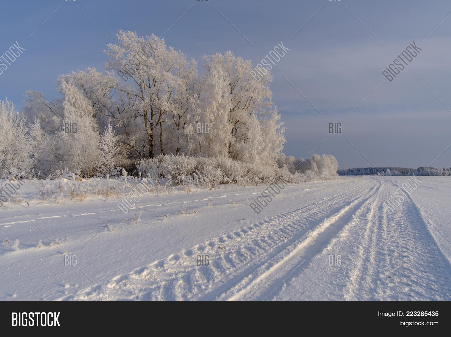 Image Preview
