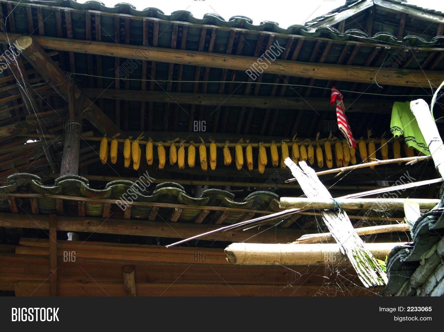 Image Preview