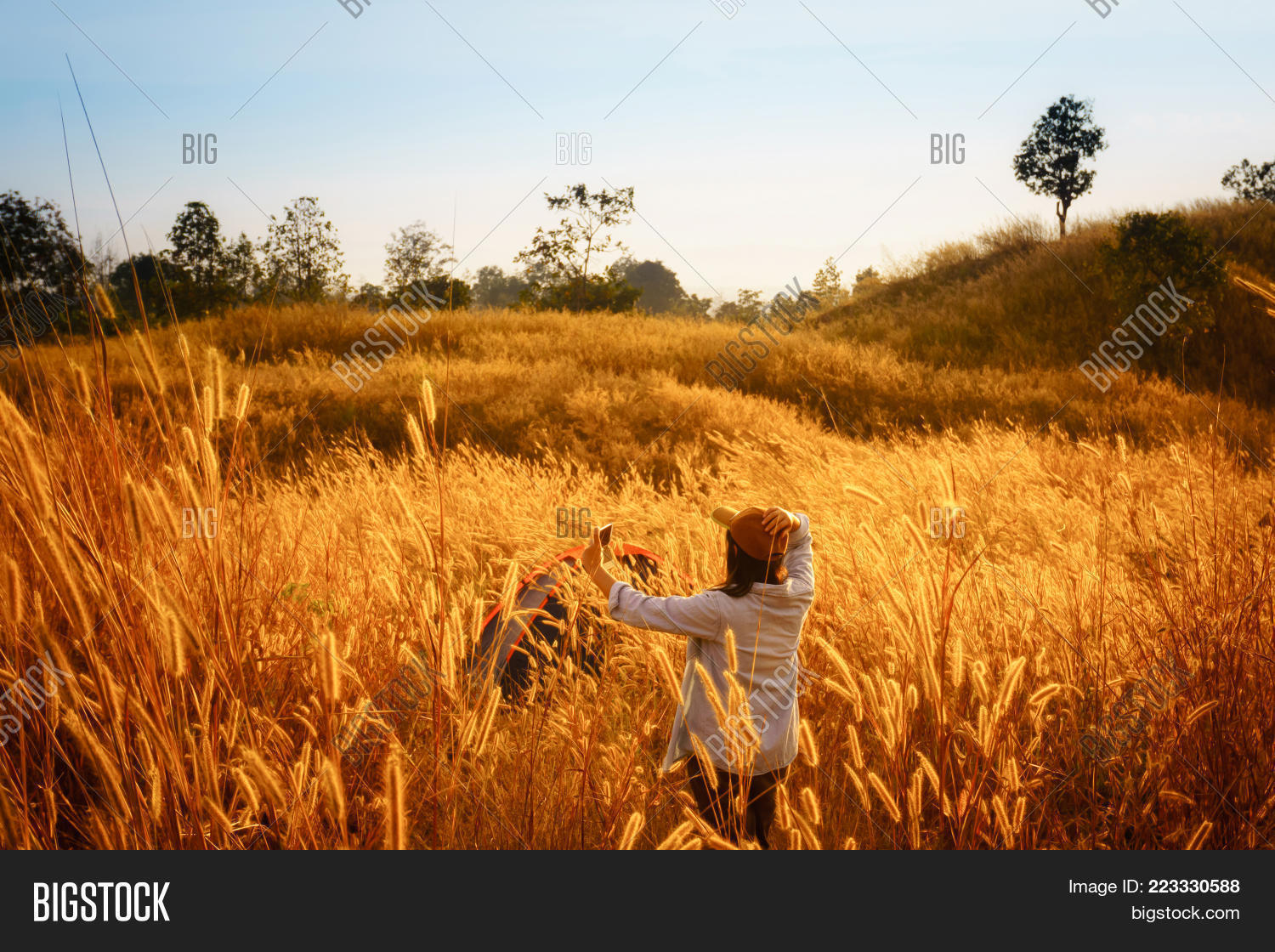 Image Preview