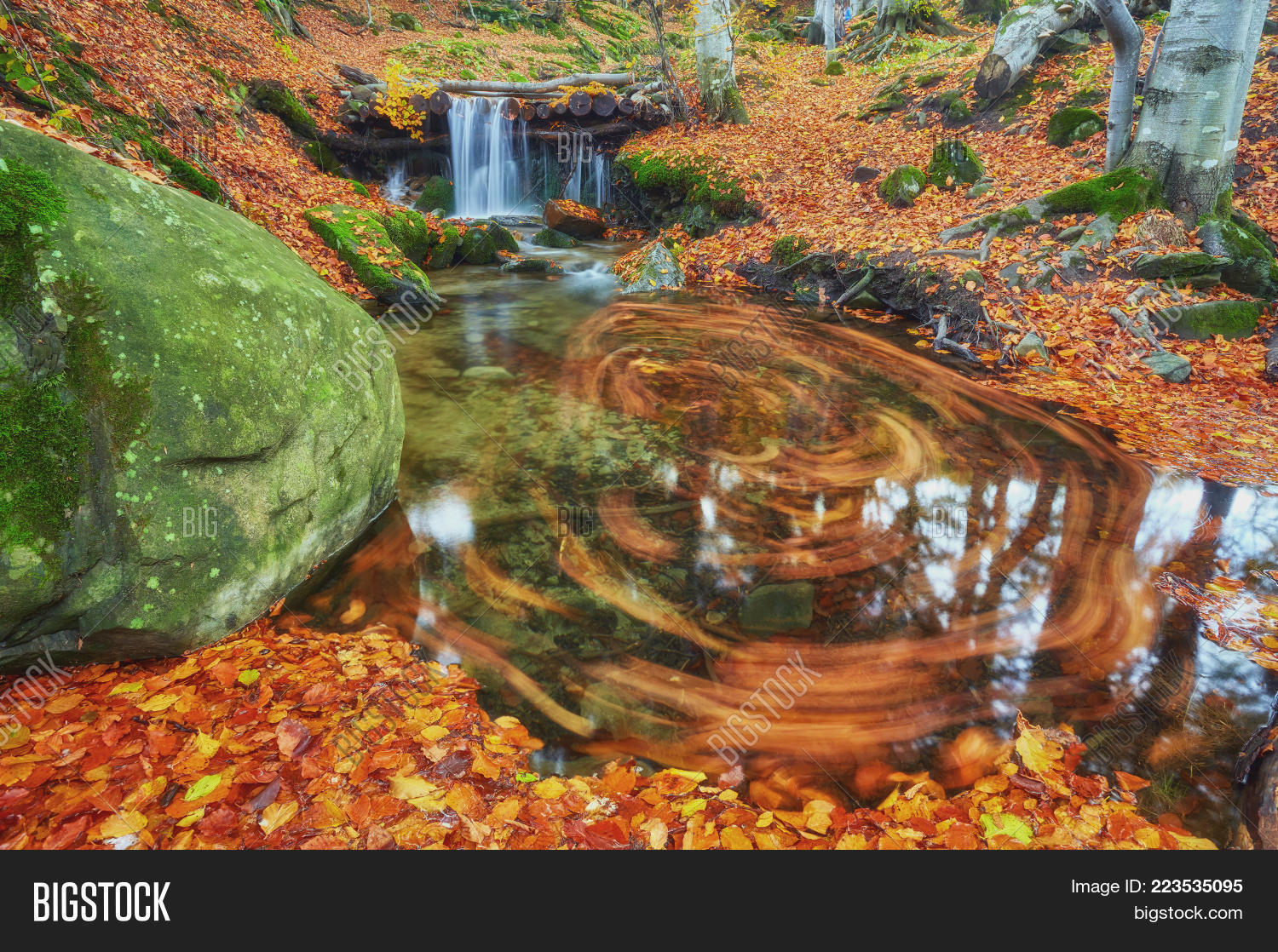 Image Preview