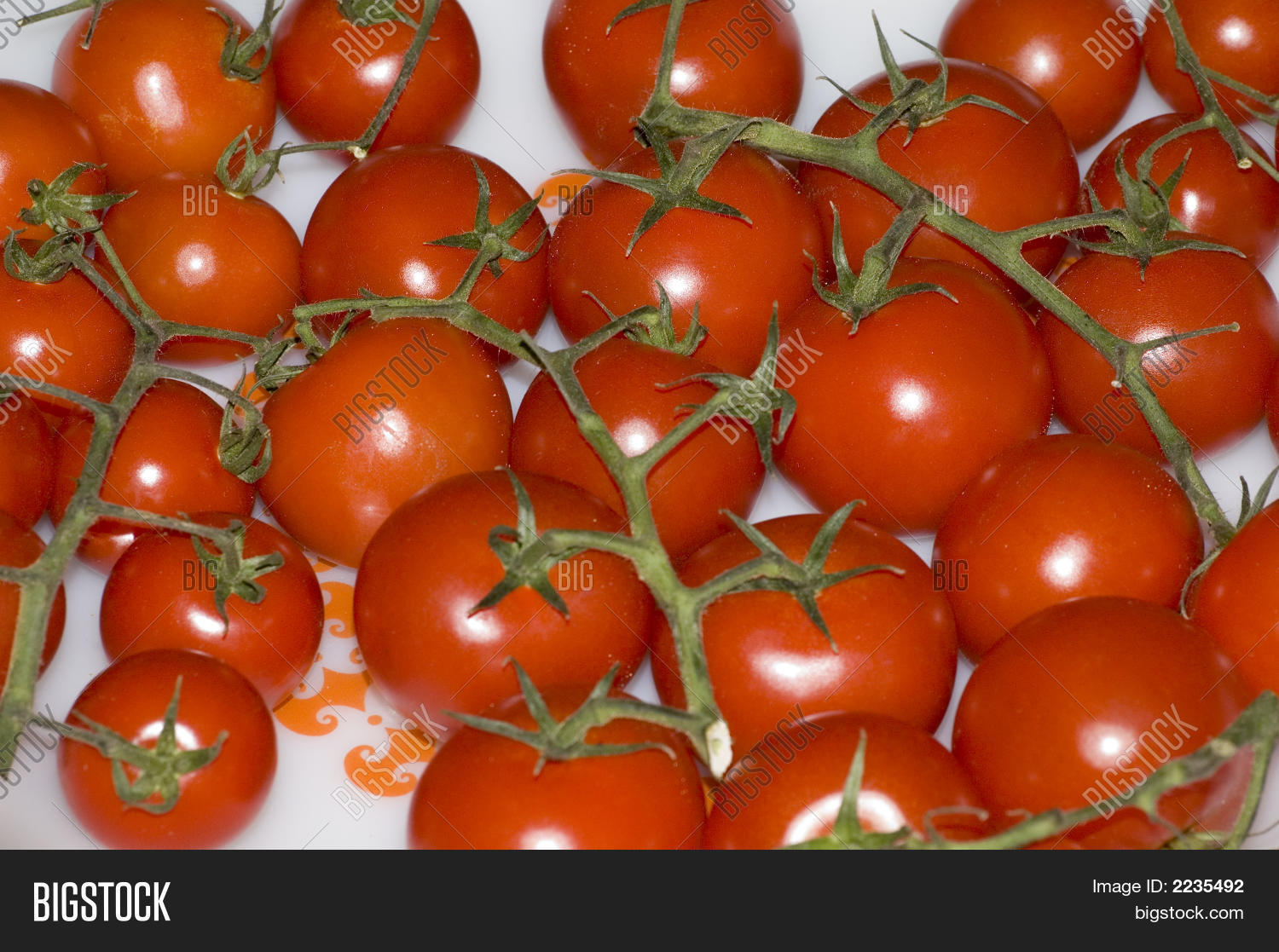 Image Preview