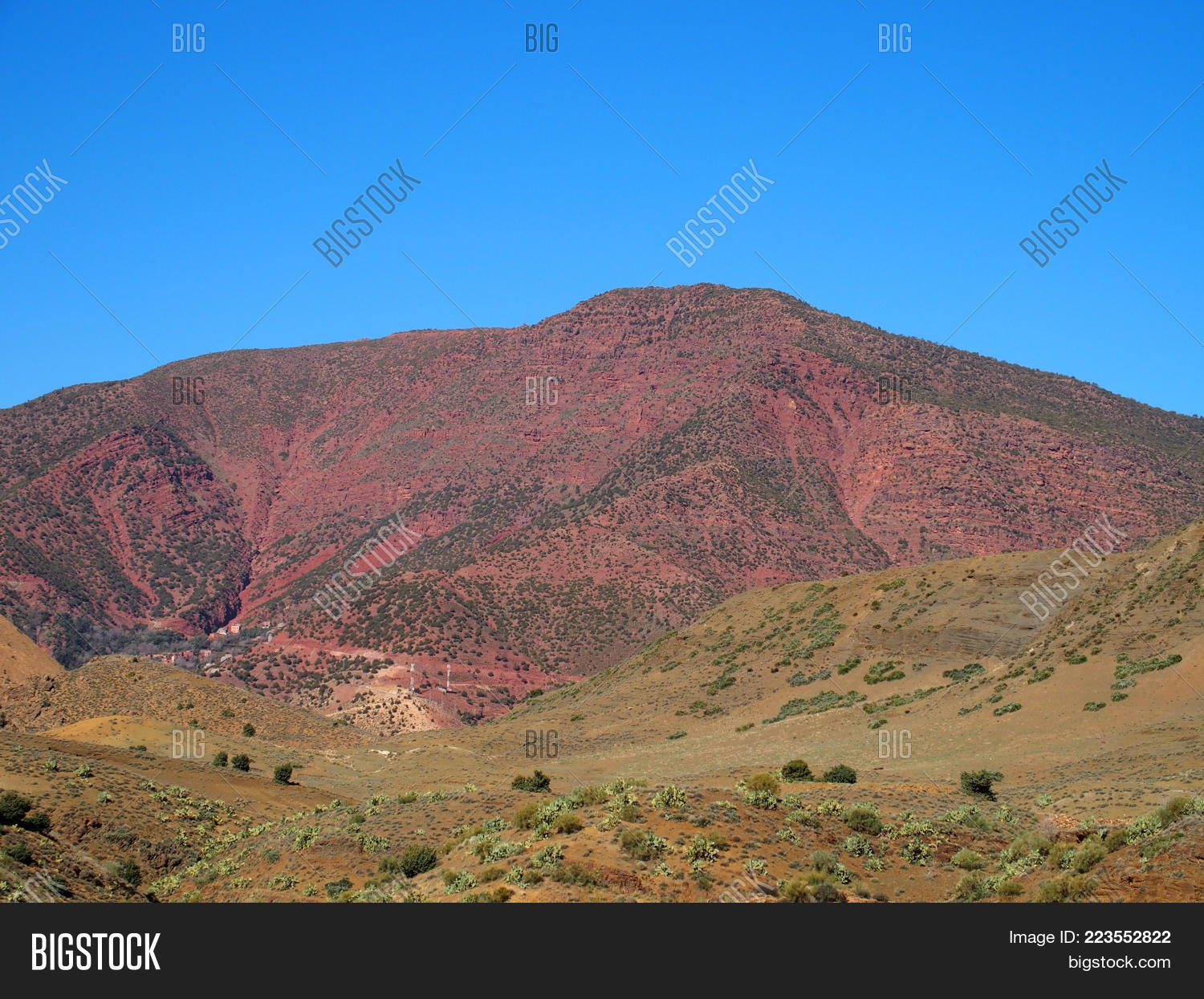 Image Preview