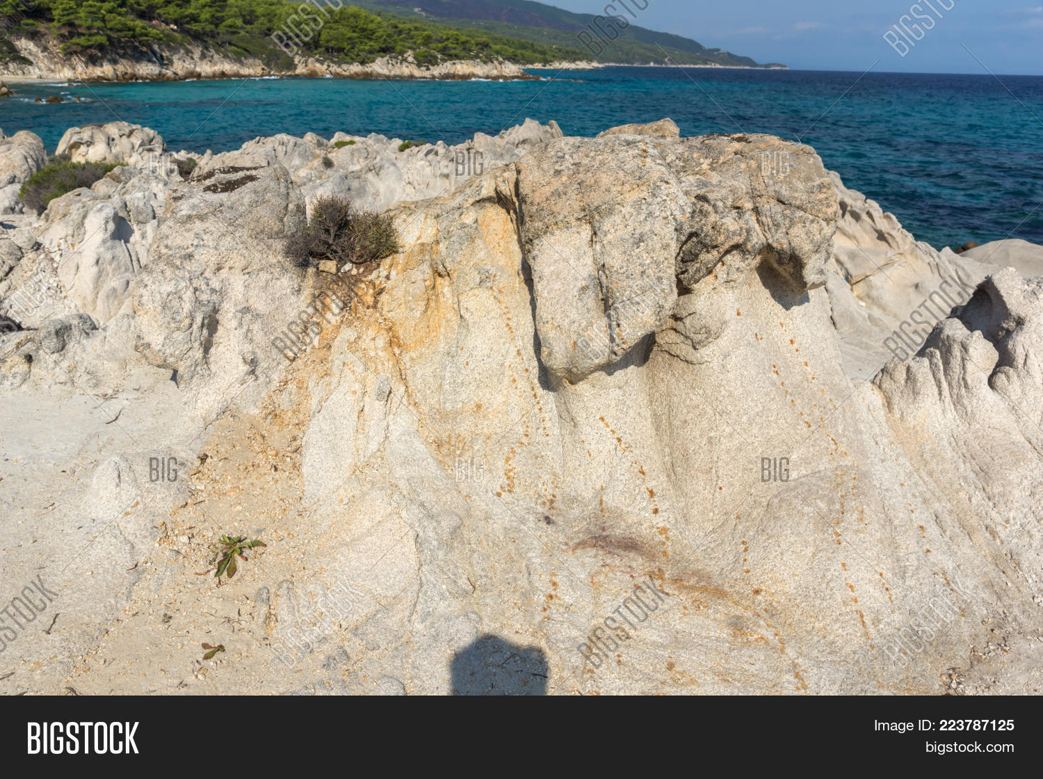 Image Preview