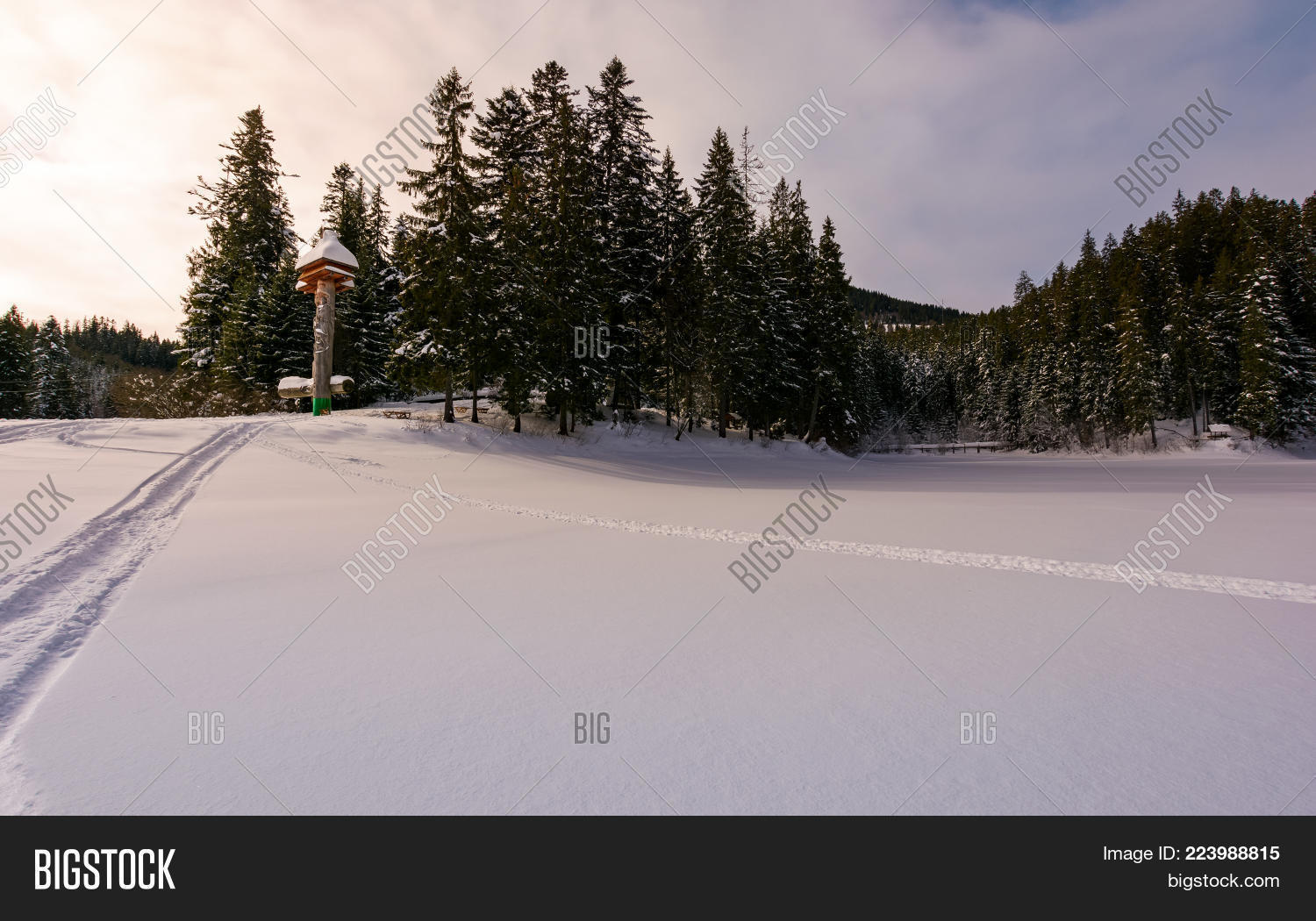 Image Preview