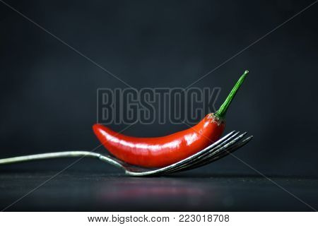 Red hot chili pepper on vintage fork on black slate stone background