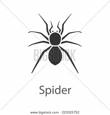 Spider glyph icon. Arachnida. Silhouette symbol. Negative space. Vector isolated illustration