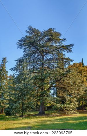 Landscape in park in autumn, Kakheti, Georgia