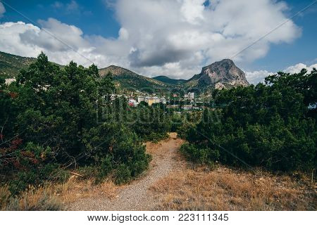 Carnage Images Illustrations Vectors Free Bigstock