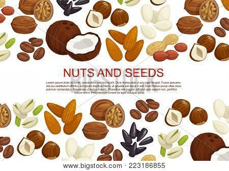 Nuts and seeds or fruit kernels poster of almond, pistachio or pumpkin and sunflower seeds, filbert nut or peanut and walnut, coconut or hazelnut and legume beans. Vector information design template