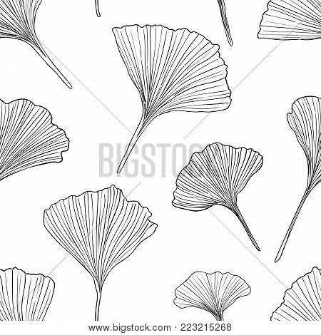 Hand drawn vector black outlone ginkgo leaves seamless pattern isolated on white background. Good for fabric, wallpaper or package.