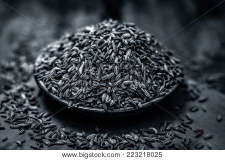 Close Up Of Traditional Mouth Freshener's Essential Herb Variyali,fennel Or Foeniculum Vulgare In A 