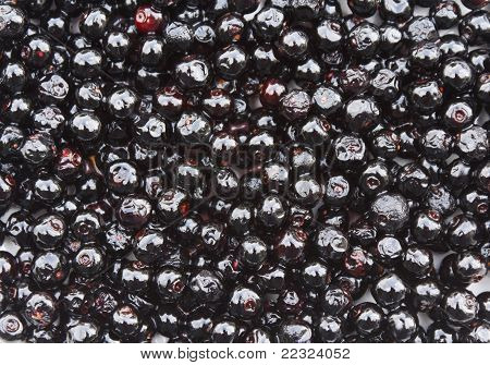 Jambolan