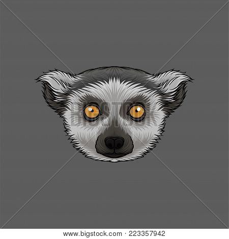 Head of lemur, portrait of wild animal hand drawn vector Illustration on a grey background